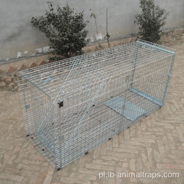 Ptak pułapka humanitarna pułapka na zwierzęta c Catching